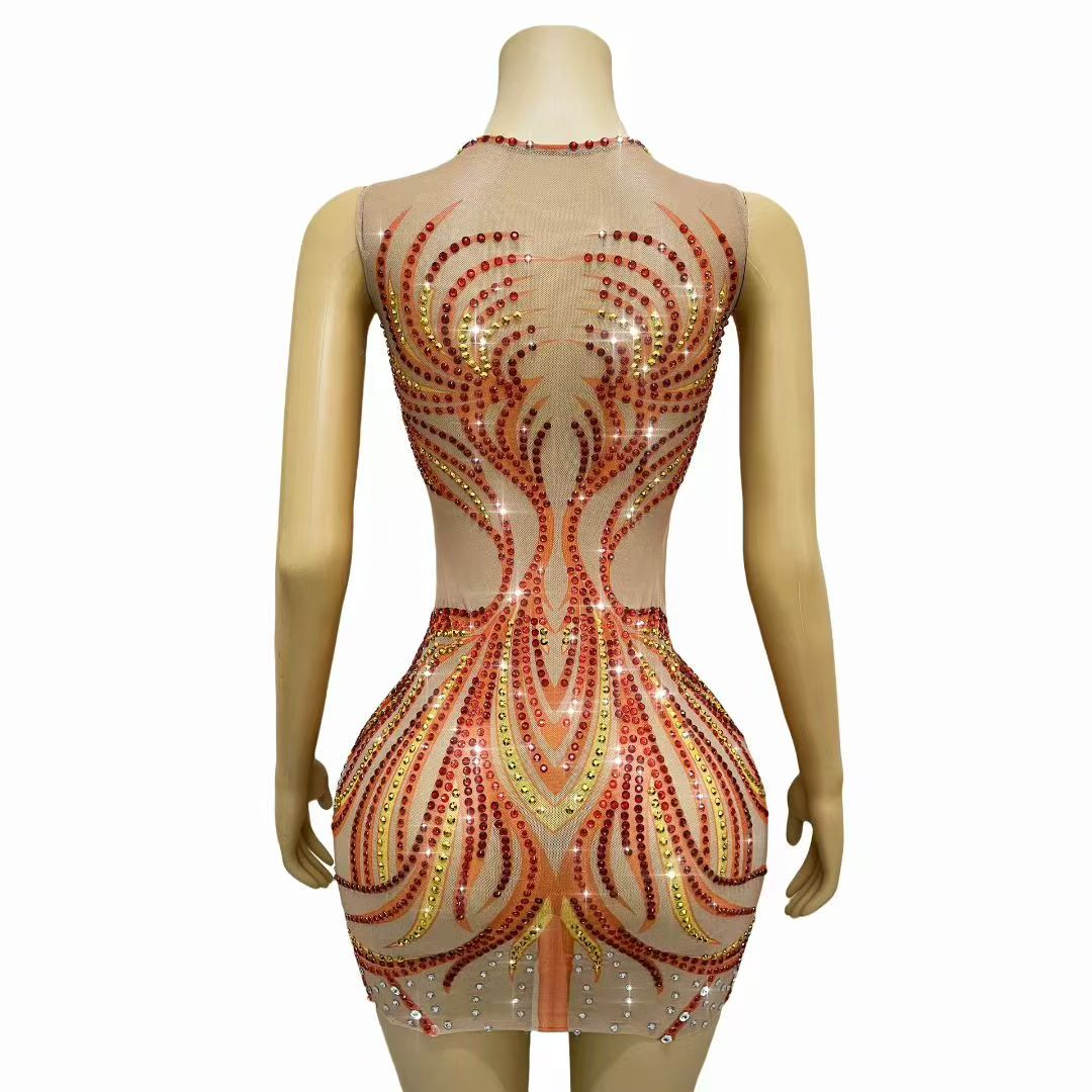 Women Sparkly Rhinestones Mesh - Sparkly Rhinestone Club Party Dress recension och pris